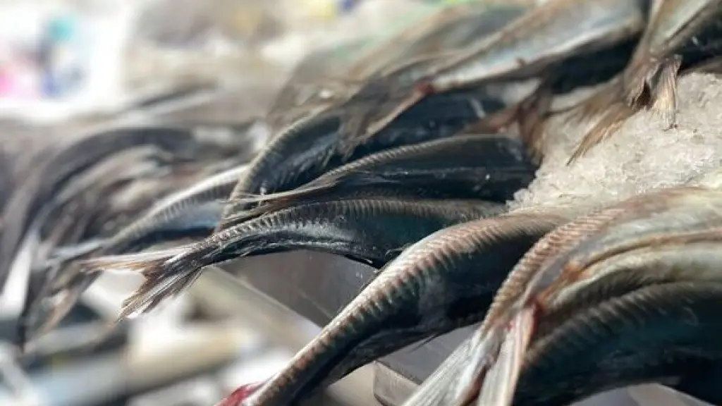 pescados ,EntrepreNerd