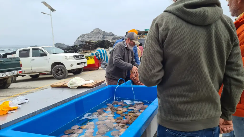 20230511 111818 ,EntrepreNerd