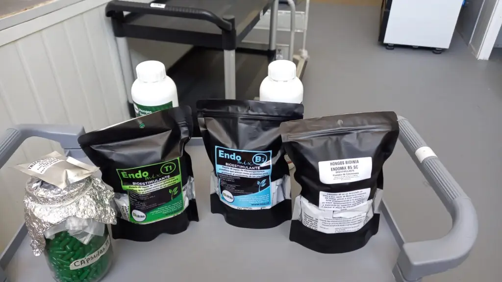 FOTO CeNBi 3 ,EntrepreNerd