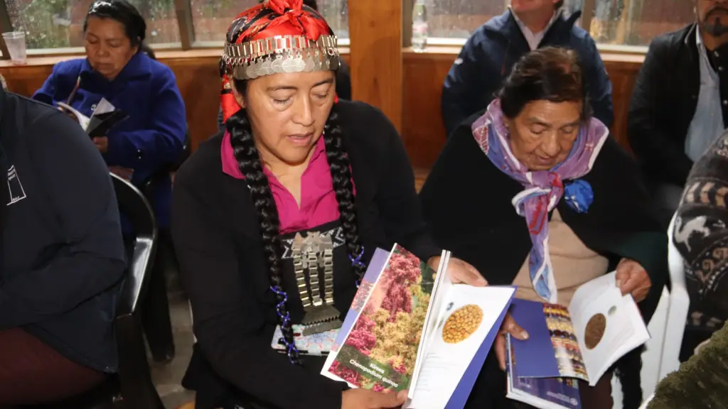 Subsecretaria de Agricultura 2 ,EntrepreNerd