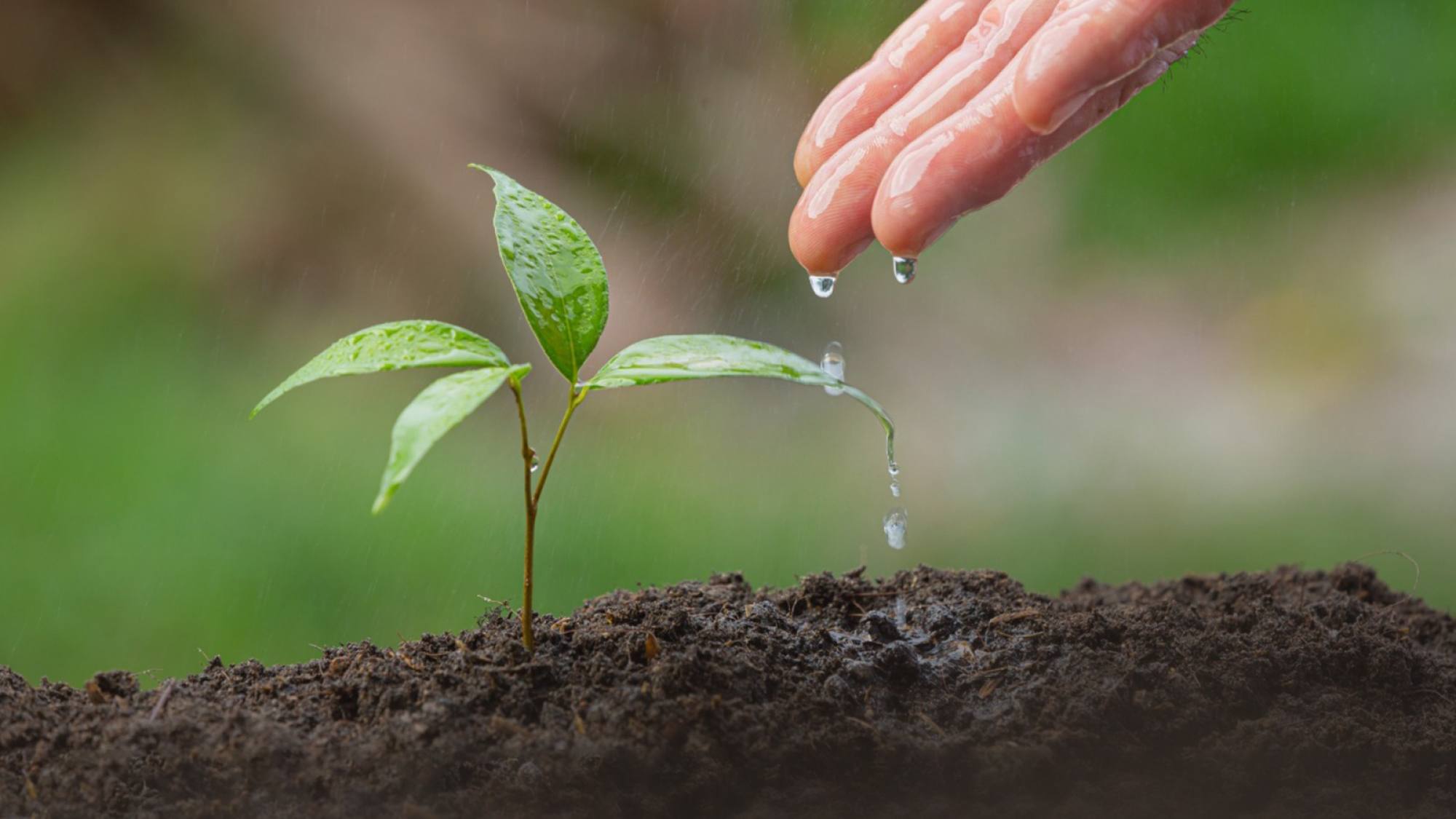 Retos de innovacion agua 002, EntrepreNerd