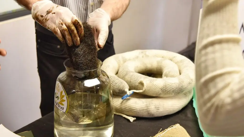 cowork lab 2 ,EntrepreNerd