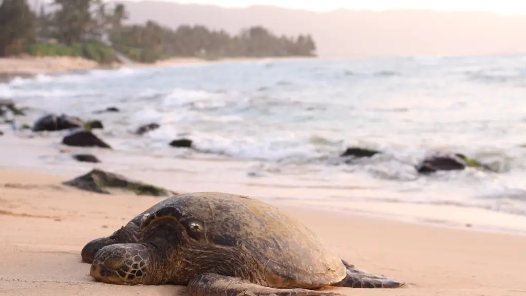 Chubb BP ,EntrepreNerd