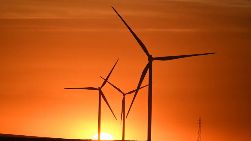 Suncats ,EntrepreNerd