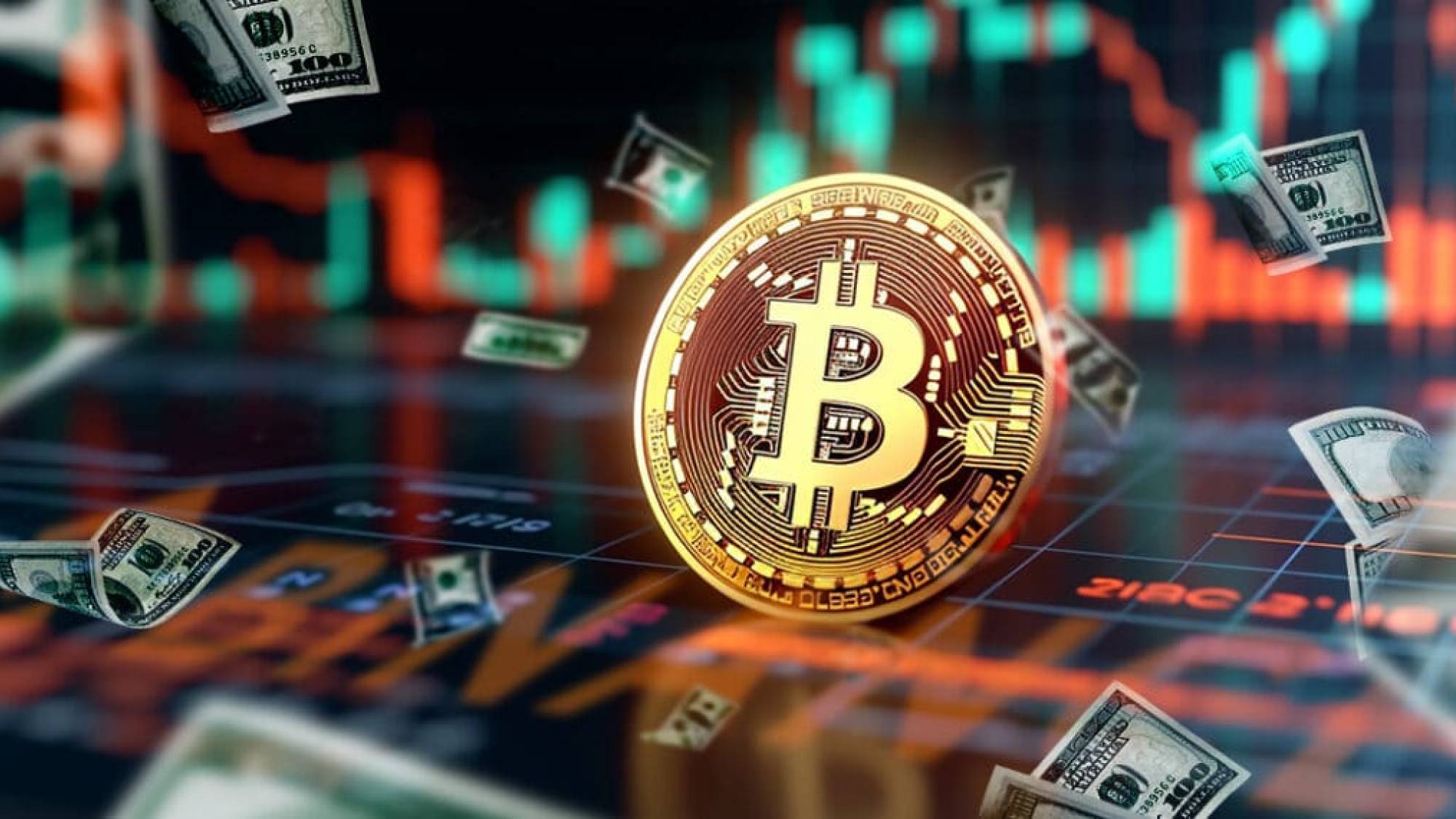 bitcoin, EntrepreNerd