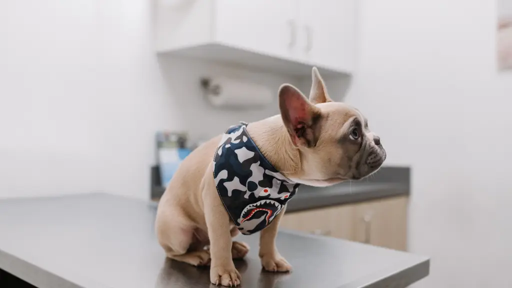 karsten winegeart uy5l VJ8dRM  ,Unsplash