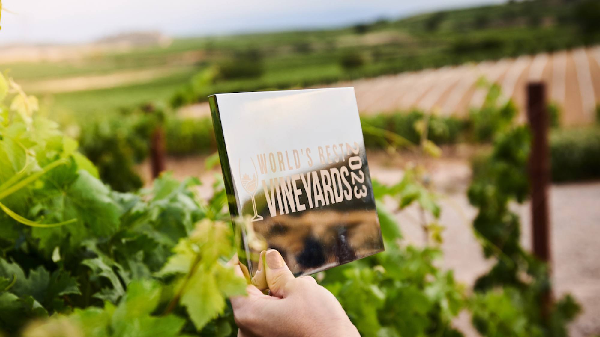 Placa WBV2023 1, EntrepreNerd