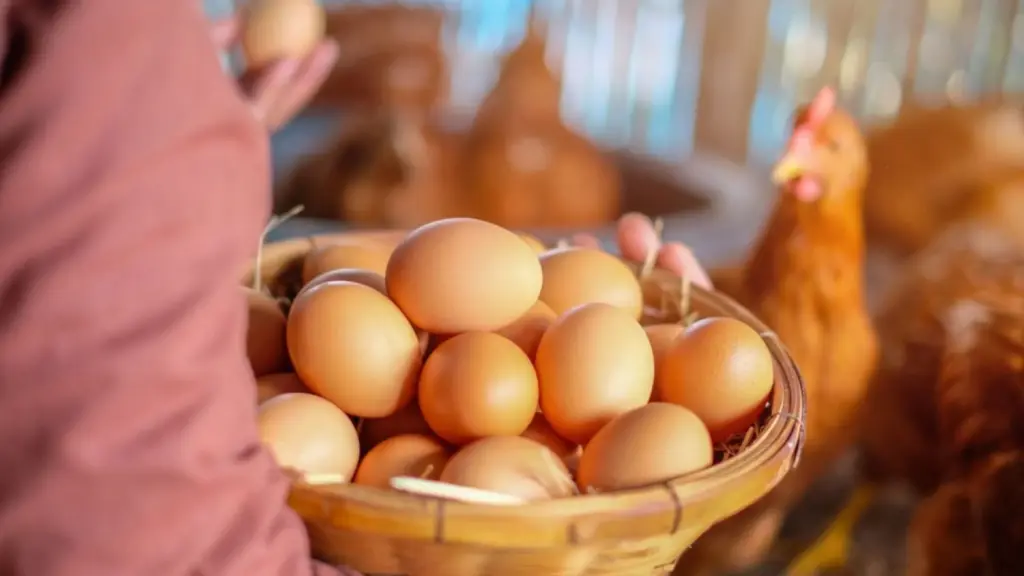 Foto 1 10 ,EntrepreNerd