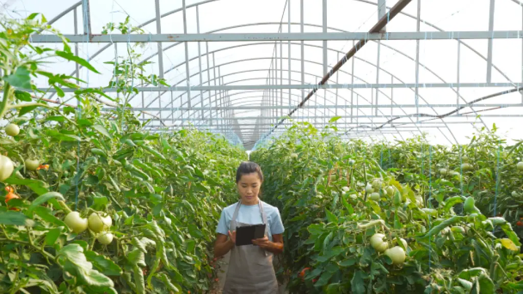 ApplyingAI Sustainability ,EntrepreNerd