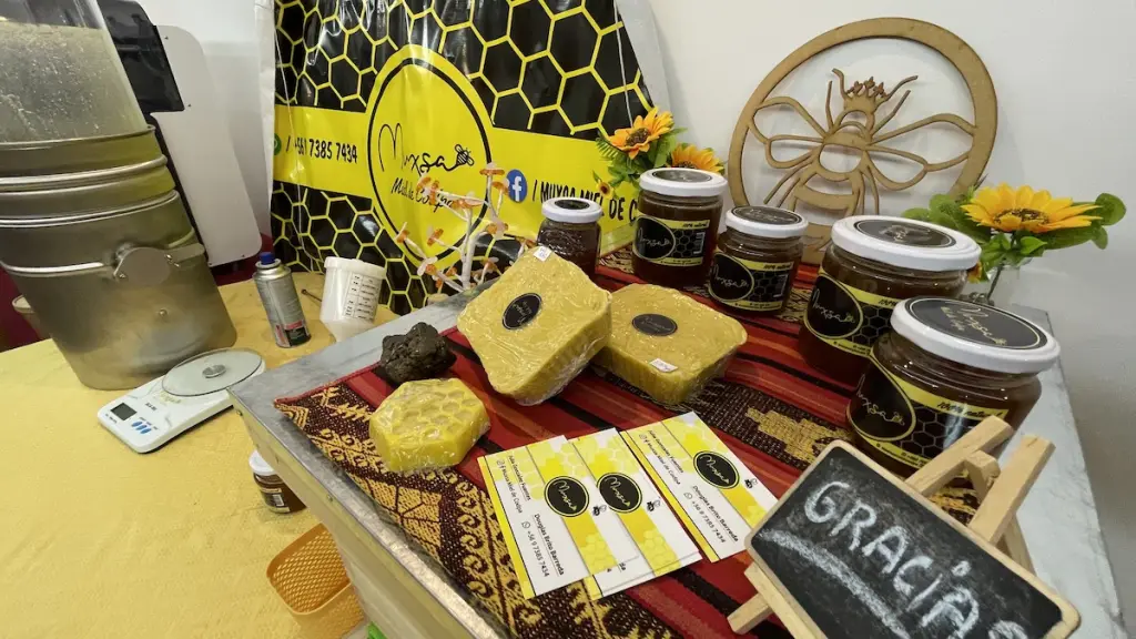 Miel Muxsa Beneficiario PAR Multisectorial FNDR 3 1 ,EntrepreNerd