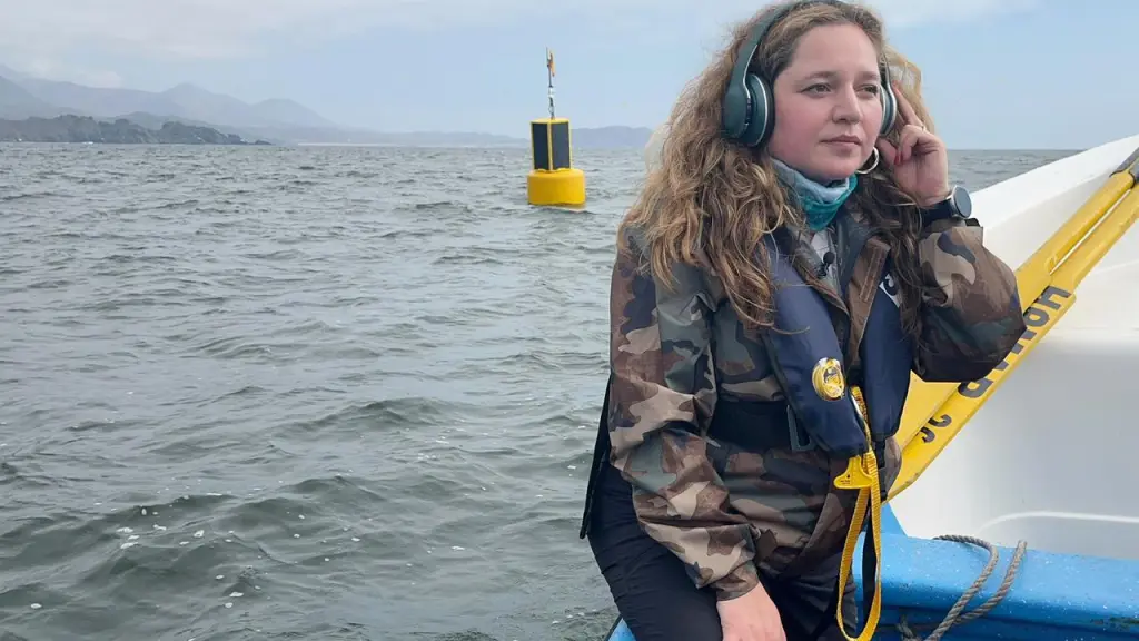 Marcelaruiz 1 1 ,EntrepreNerd