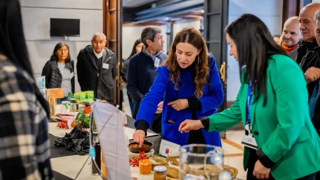 9K7A9231 ,EntrepreNerd