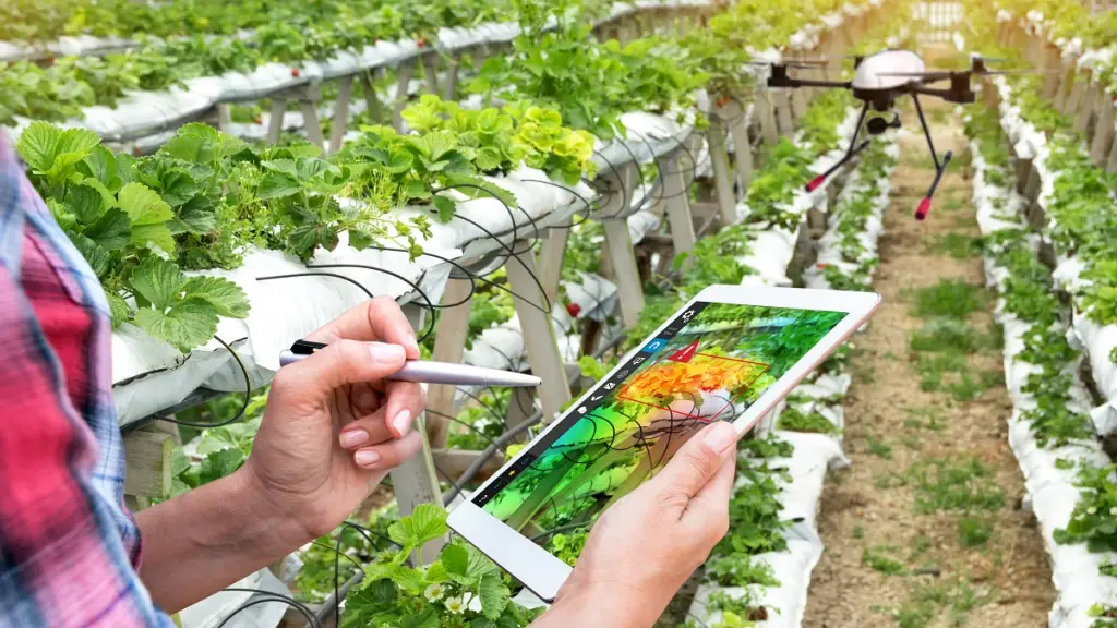 IA Think Agro 1 ,EntrepreNerd