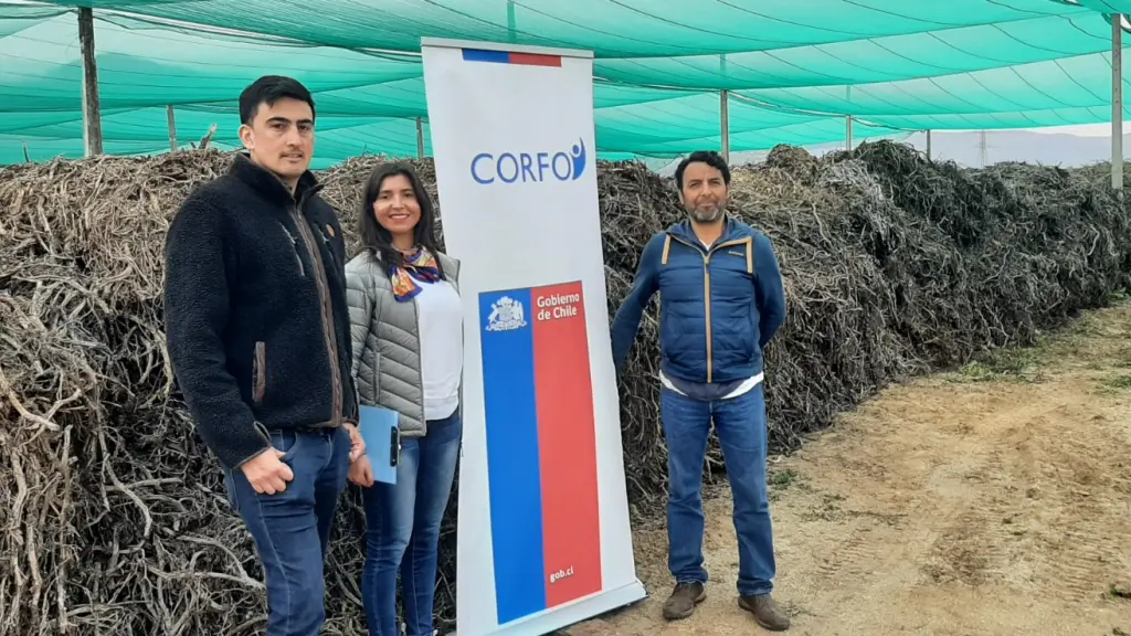 WhatsApp Image 2023 09 26 at 15 ,EntrepreNerd