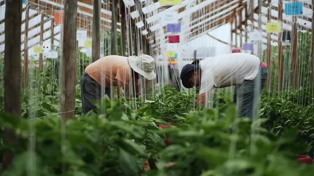 unnamed 78 ,EntrepreNerd