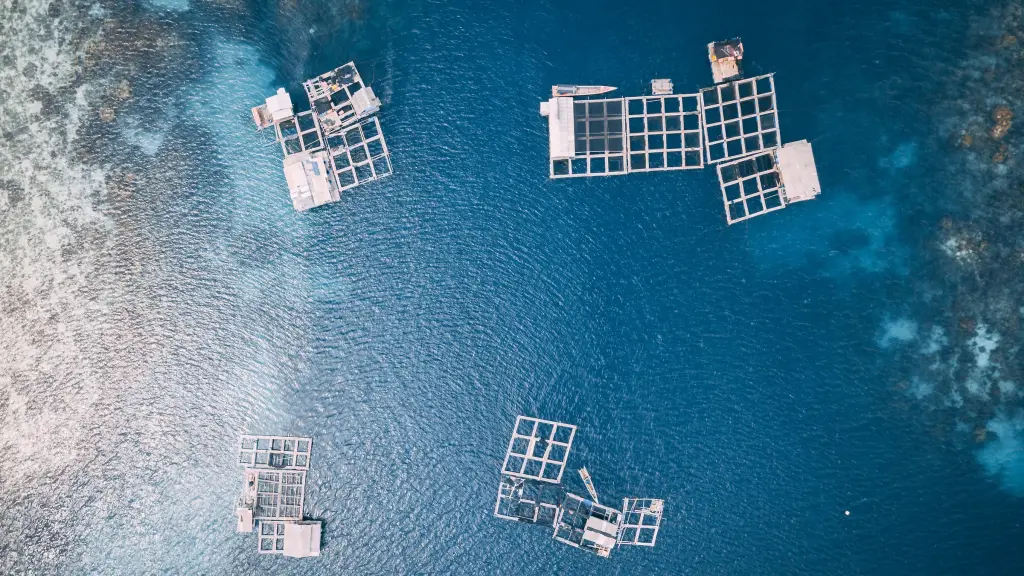 Industria acuicola ,EntrepreNerd