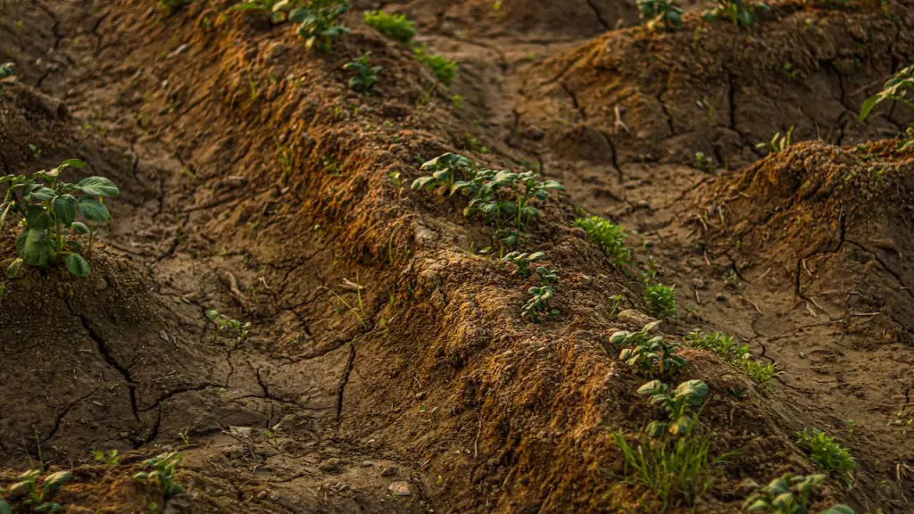 sequia2 ,EntrepreNerd