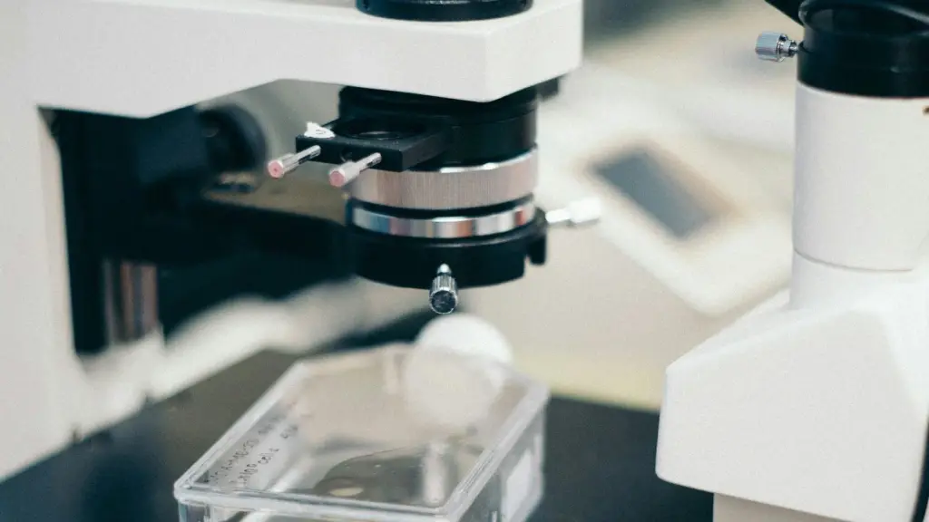 jaron nix 5HbxyB0 DBg  e1702909778344 ,Unsplash