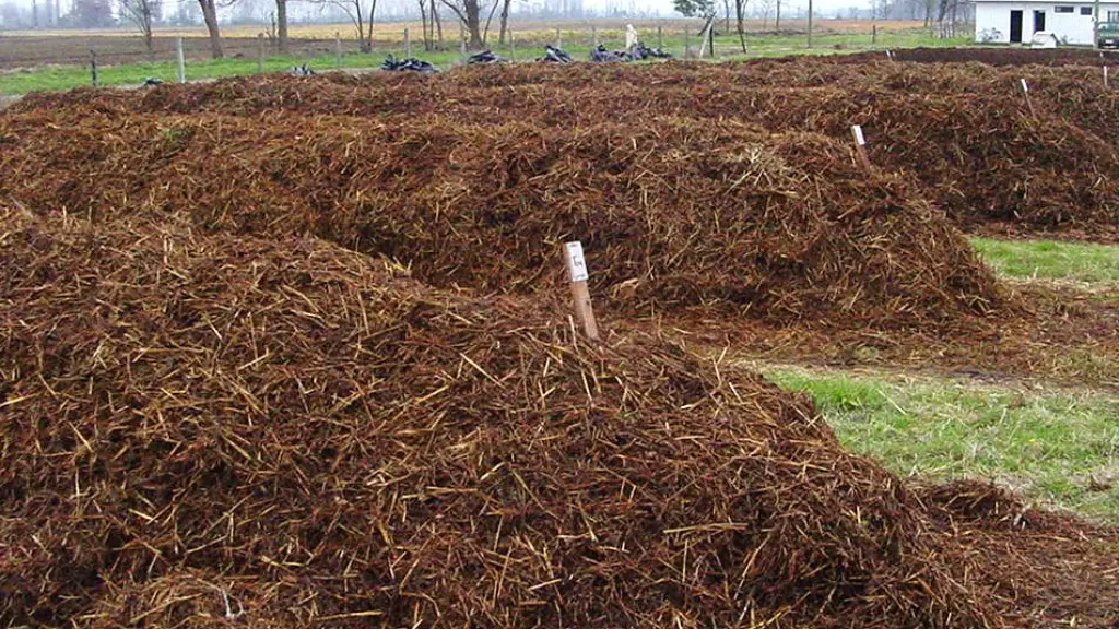 Rastrojos 1 ,EntrepreNerd