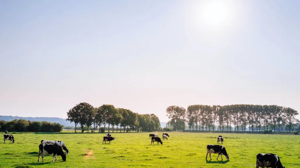 leon ephraim AxoNnnH1Y98  ,Unsplash