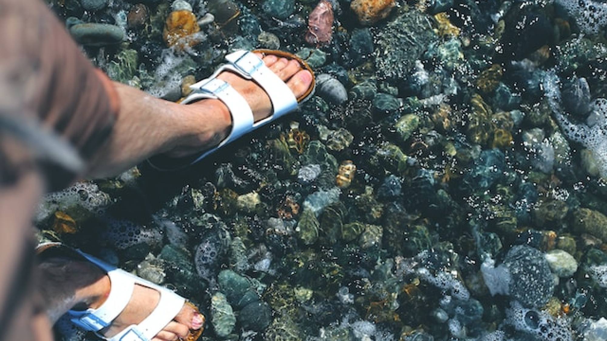 FACH10979 FOTO1, EntrepreNerd