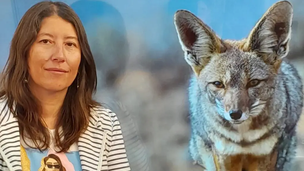 BarbaraFuentes UCN FICG e1706880097657 ,EntrepreNerd