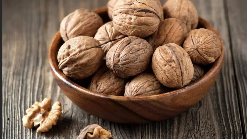 Captura de pantalla 2024 02 01 a las 15 ,EntrepreNerd