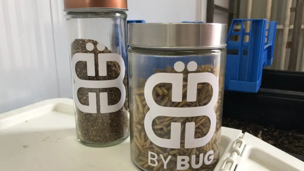 BYBUG 03 e1707393717793 ,EntrepreNerd