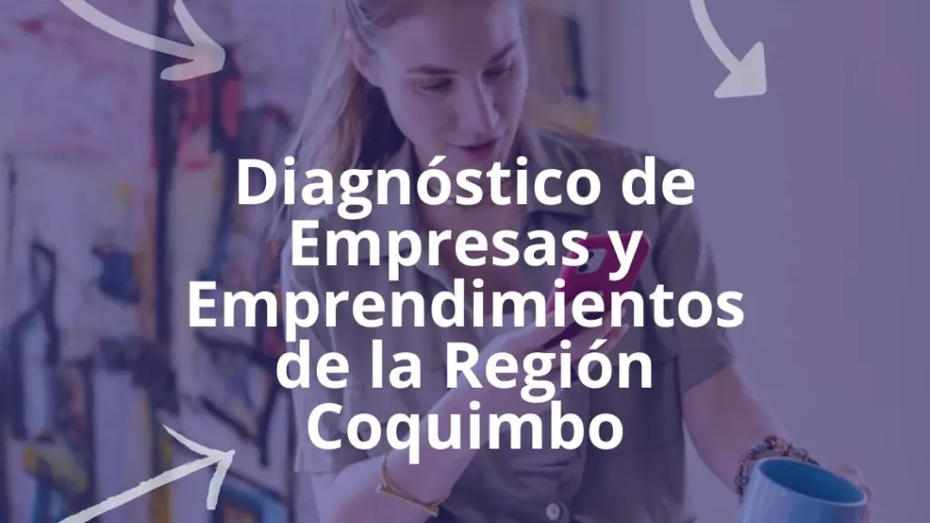 Diagnostico de Empresas y Emprendimientos de la Region Coquimbo V1 ,EntrepreNerd