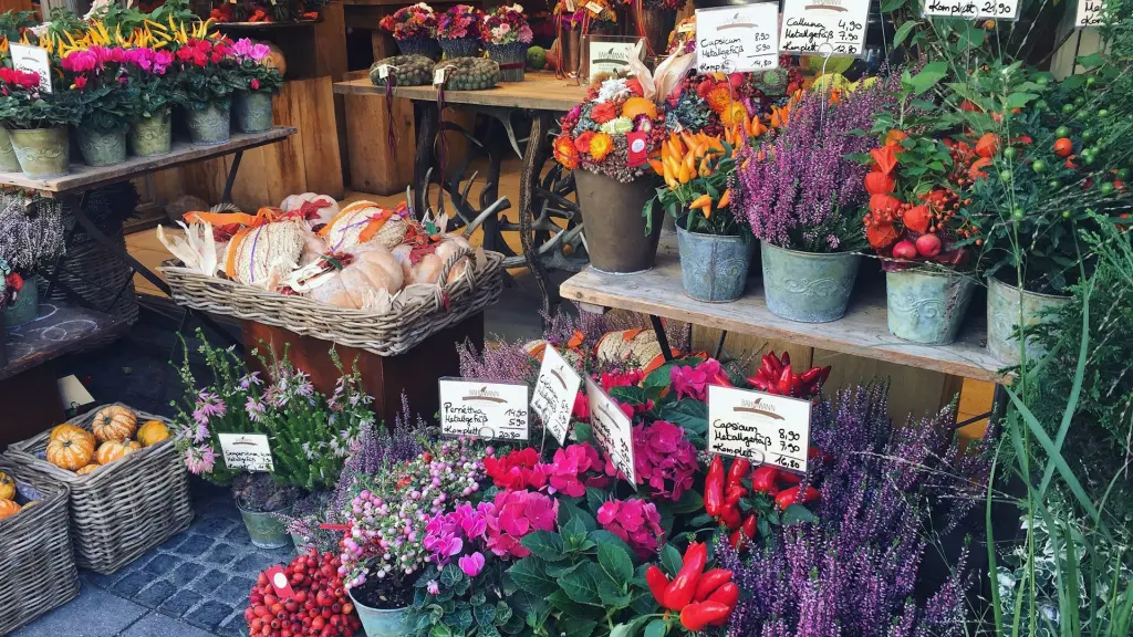 komal gahir G8mu7RIQqBE  ,Unsplash