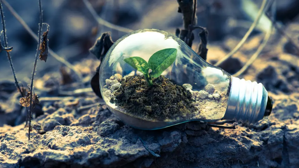 Semilla Inicia Sostenible 2024 ,EntrepreNerd