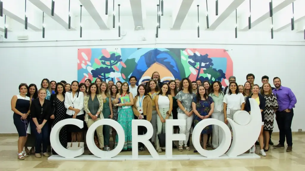 Corfo 8M 2024 ,EntrepreNerd