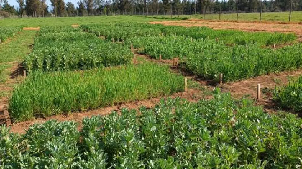 unnamed 50 ,EntrepreNerd