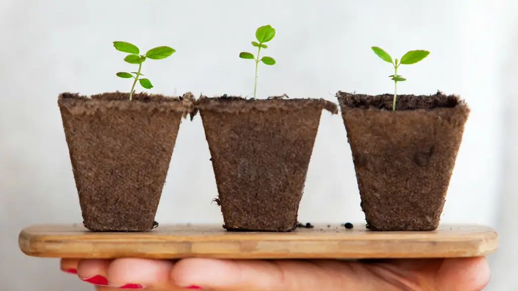 daniel oberg sEApBUS4fIk  1 ,Unsplash