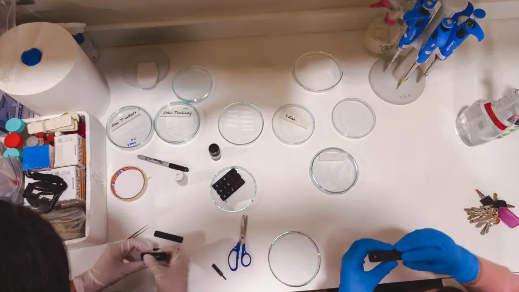 unnamed 2024 05 09T100308 ,EntrepreNerd