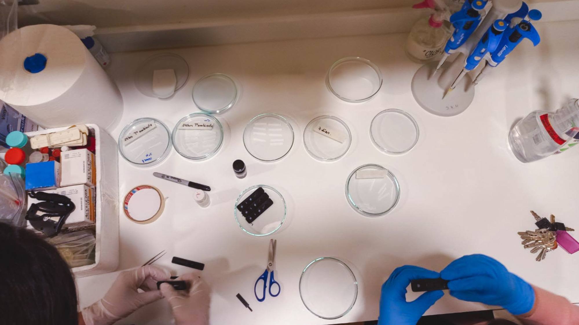 unnamed 2024 05 09T100308, EntrepreNerd