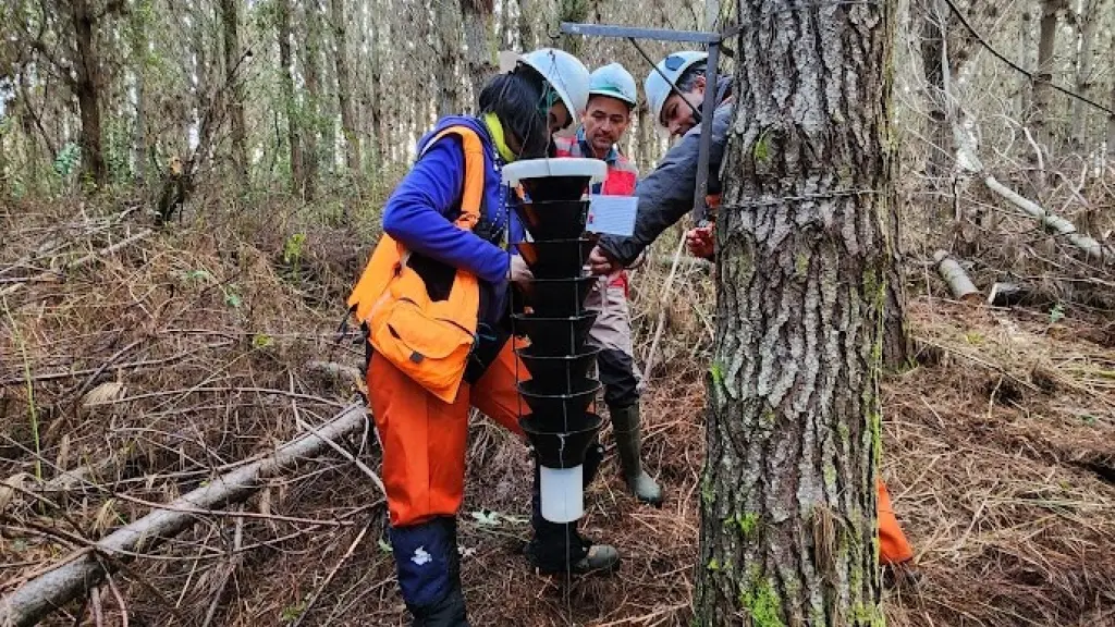 Semioquimicos 4 1 ,EntrepreNerd