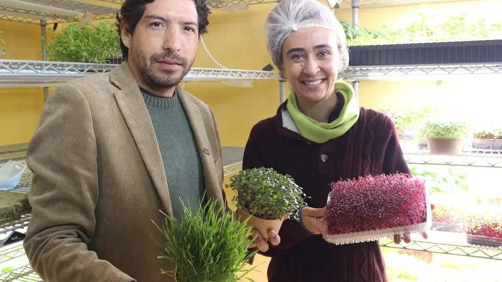 KIT DIGITAL 01 1 ,EntrepreNerd