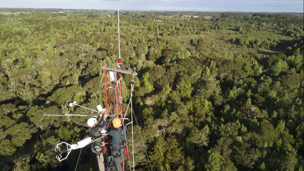 chiloecarbono1 ,EntrepreNerd