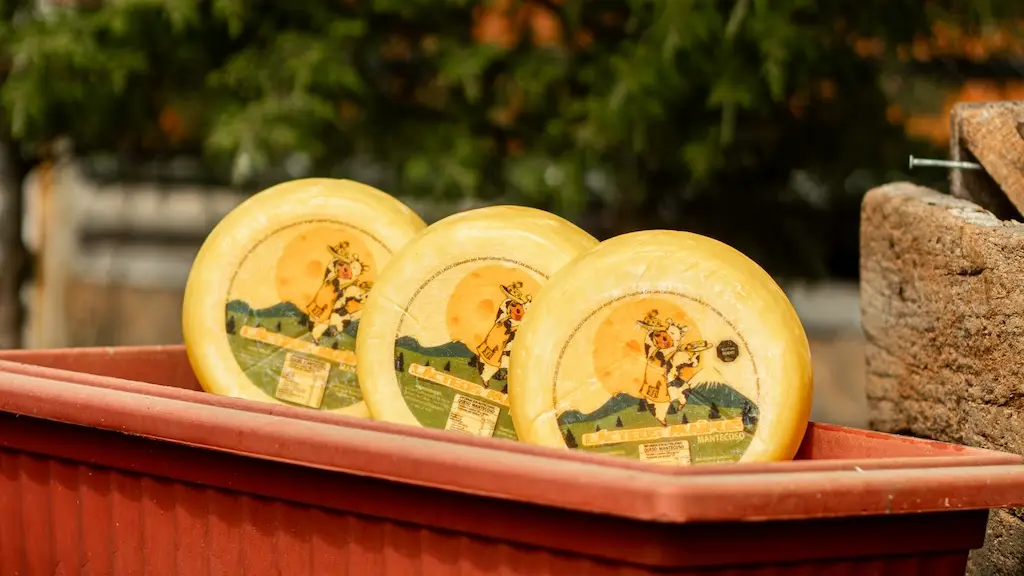 Quesos premium de Los Lagos llegan a Amazon USA gracias al programa Red Mercado de Corfo ,Corfo Los Lagos