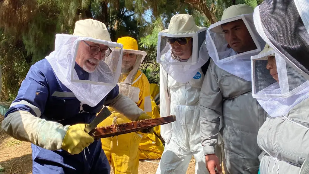 PERU 1 2 ,EntrepreNerd