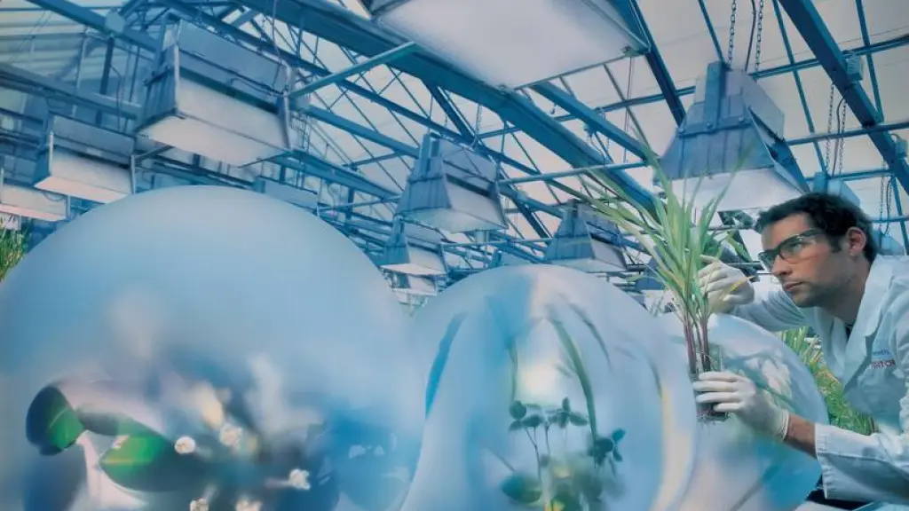 researcher in greenhouse 1 ,EntrepreNerd