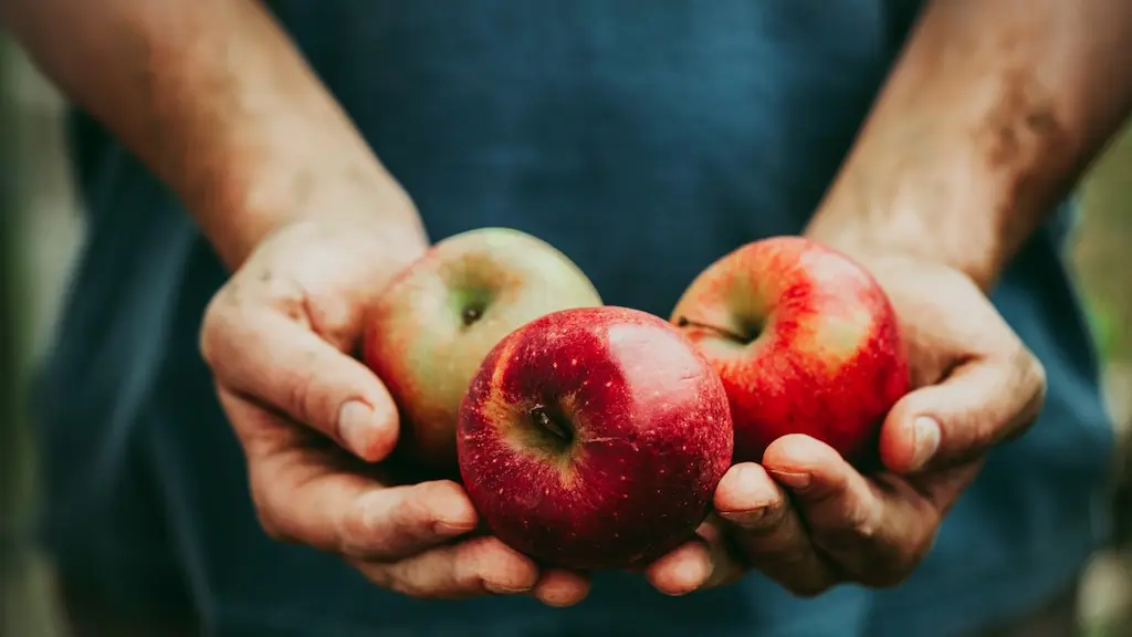 Exportaciones chilenas al Medio Oriente crecieron más de 34% ,Gentileza