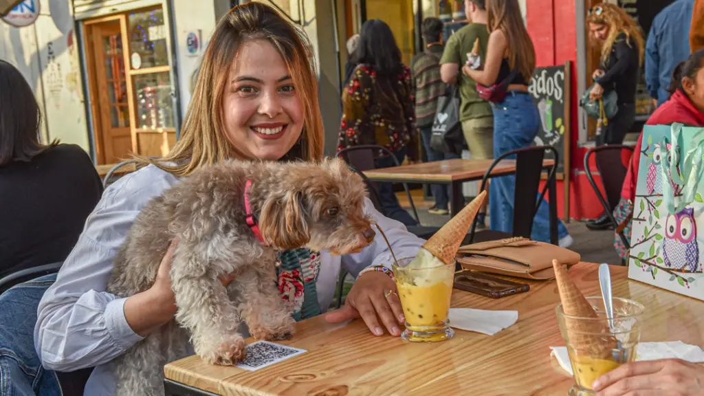 Ruta Pet Friendly en Barrio Italia  ,Gentileza