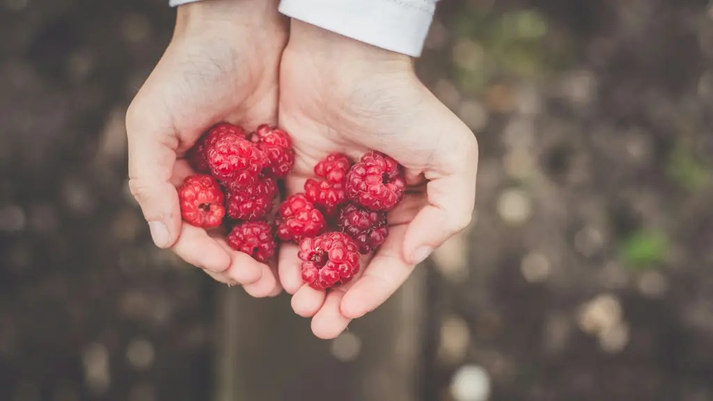 Desarrollan aerosoles bioactivos para la piel y apósitos quirúrgicos para prevenir el crecimiento de microbios peligrosos. ,Gentileza