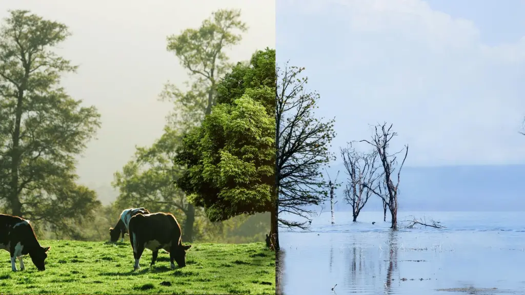 Corfo abre convocatorias para becas de especialización ,Gentileza