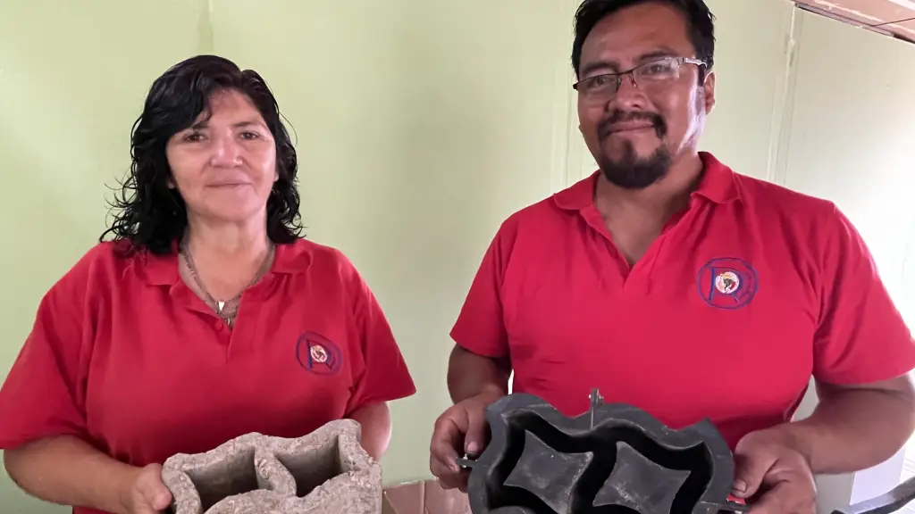 Crean ladrillos con residuos de cartón  ,Gentileza