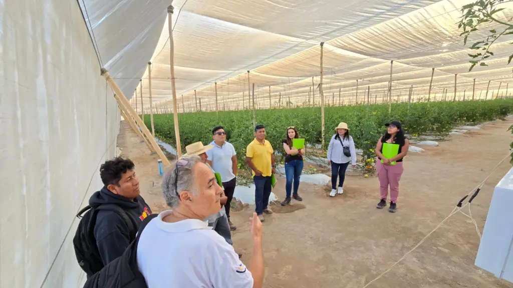 Productores de Arica conocerán en España usos de insectos benéficos  ,Corfo Arica