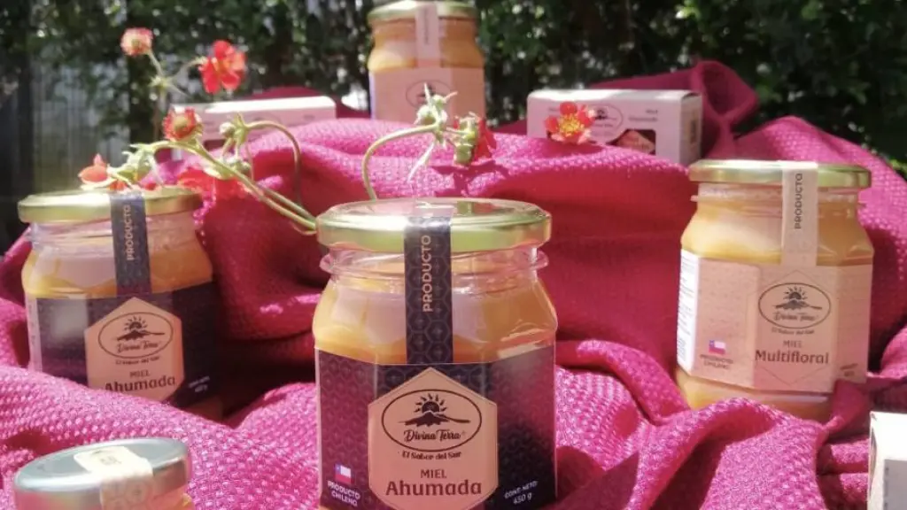 Divina Terra, la miel que está conquistando el mercado norteamericano a través de Amazon. ,Gentileza