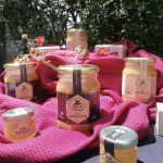 Divina Terra, la miel que está conquistando el mercado norteamericano a través de Amazon., Gentileza